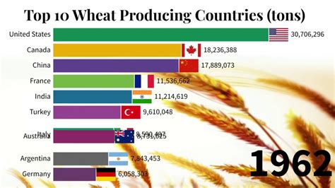 dünyada en çok buğday üreten ülkeler